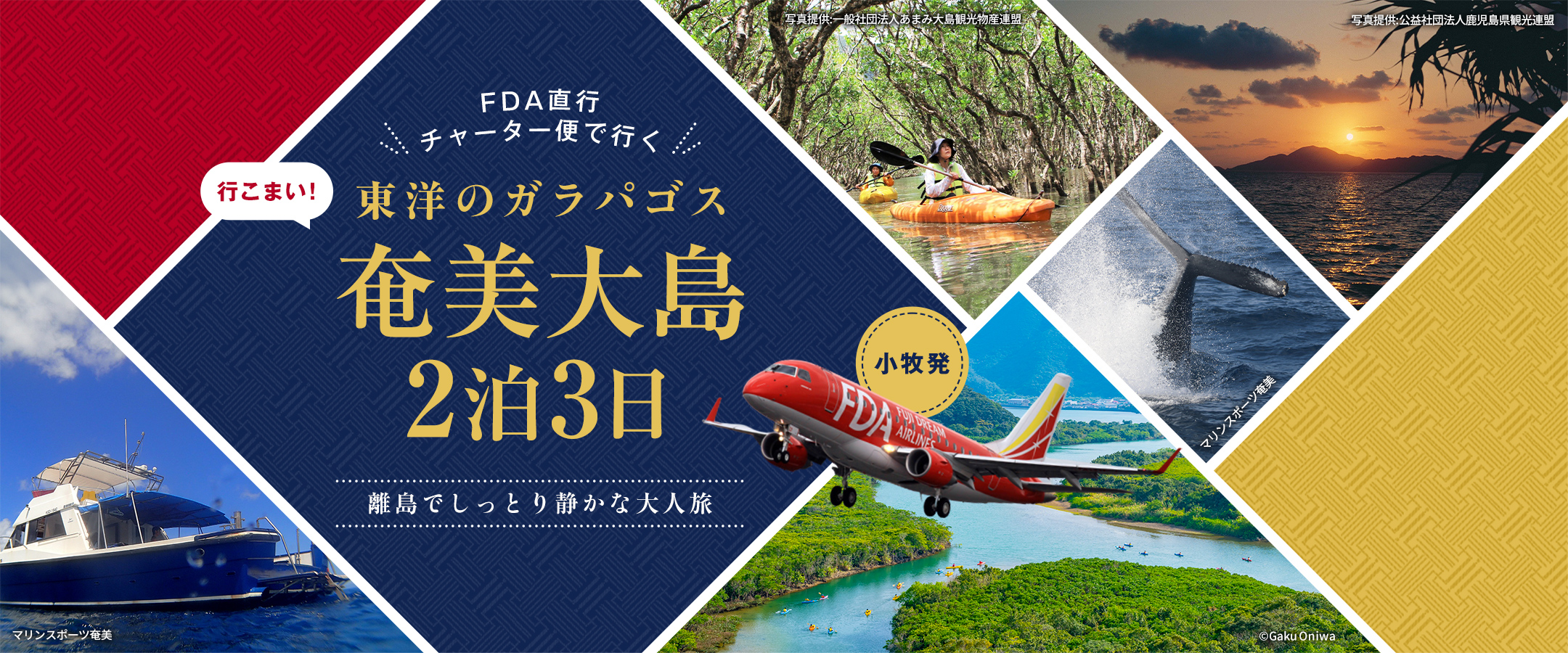 今こそ行きたい！感動の奄美旅～初心者もリピーターも楽しめる、とっておきの奄美～