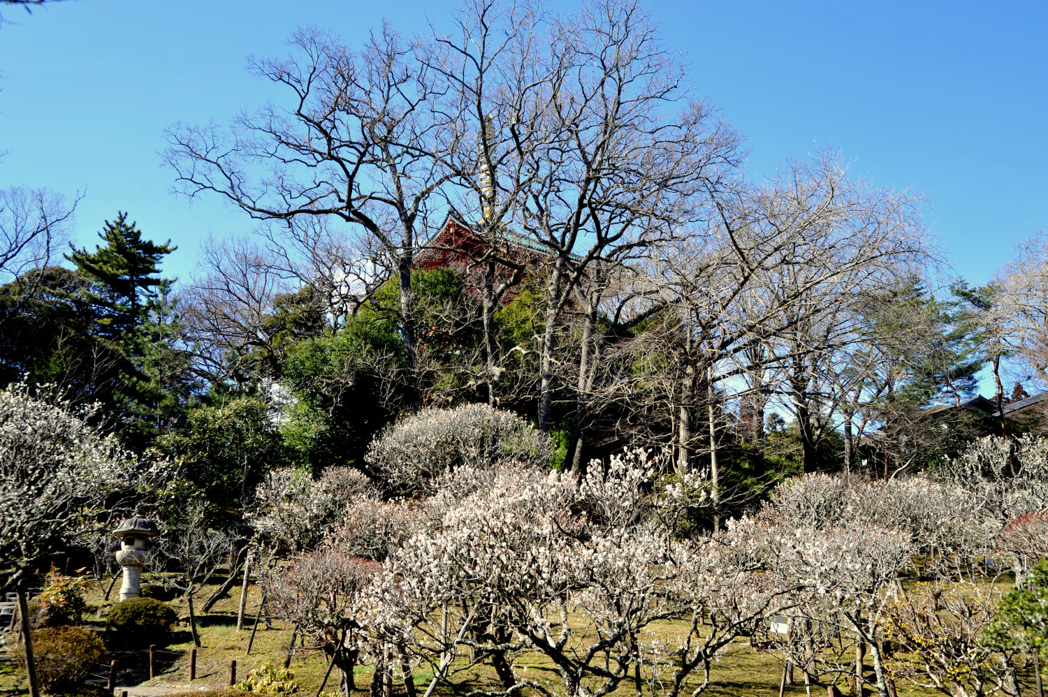 成田山新勝寺