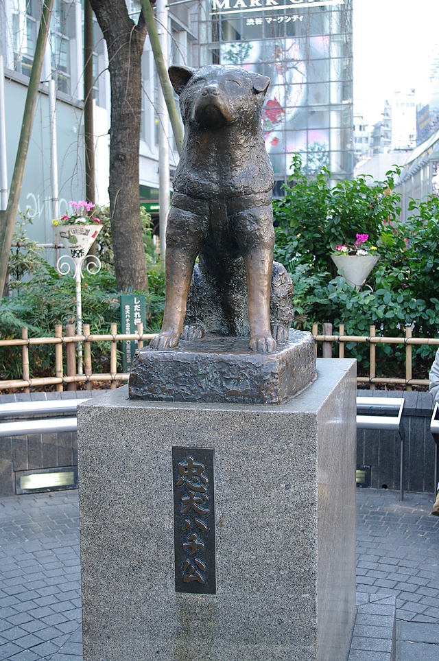 推し活